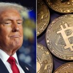 20241112-trump-bitcoin-split-full16x9